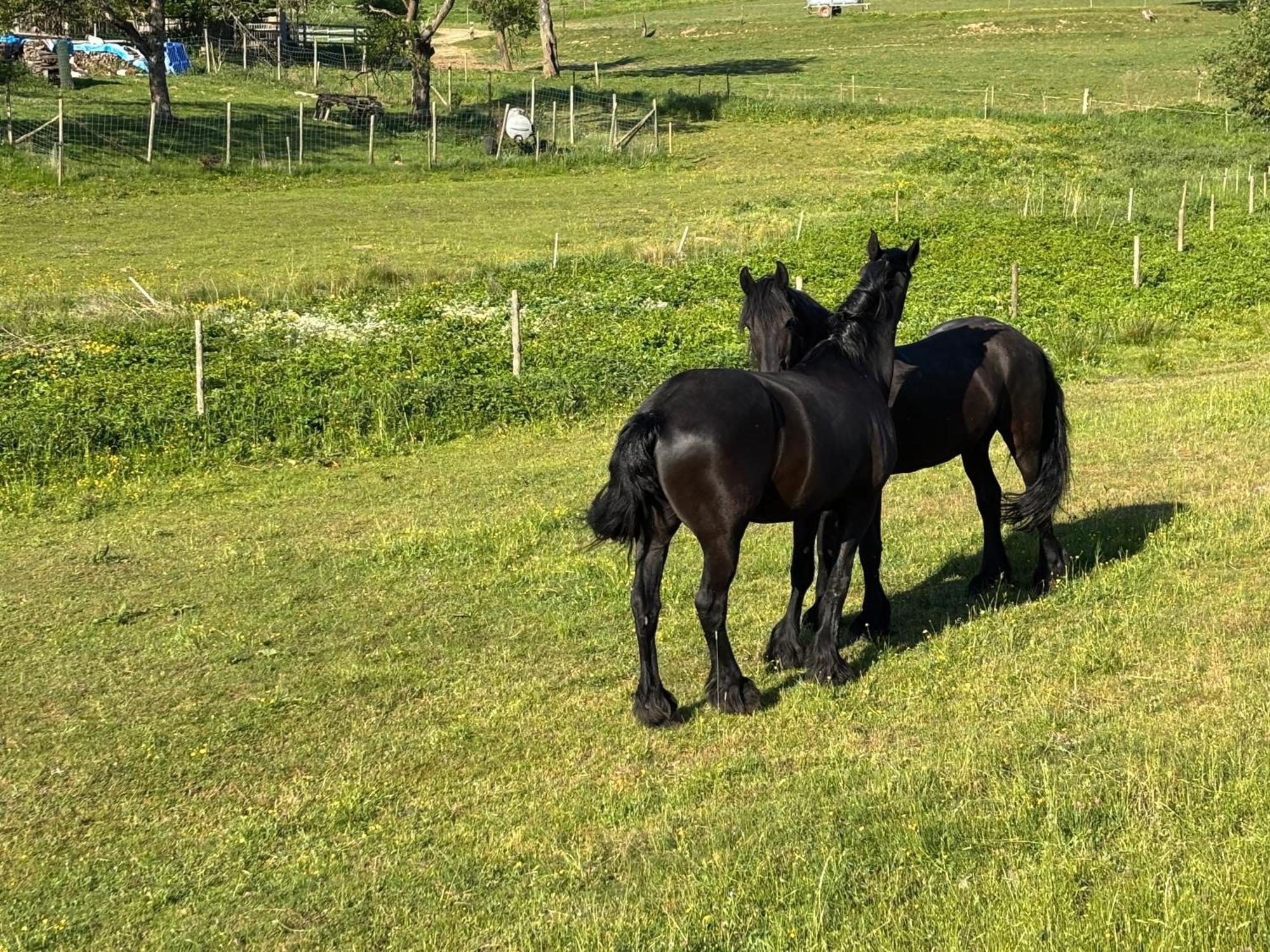 Ferienwohnung Zur Scheune Lind  Exteriér fotografie